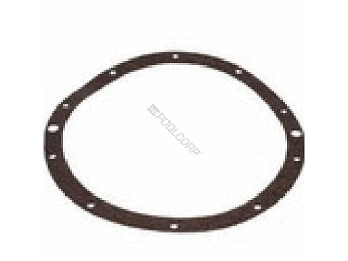 10-Hole Vinyl Light Niche Gasket