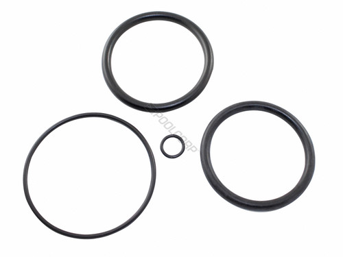 Piston Oring Kit 2" Hayward