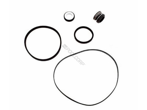 Viton Hayward Maxflo Pump Seal Kit