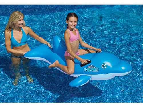 Dolphin Stable Ride-On
