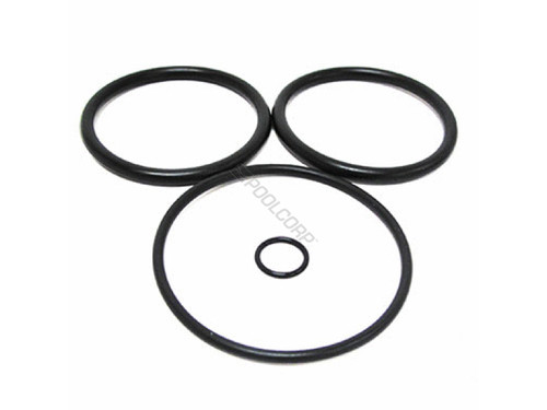 25/Bag 2" Plastic Piston Oring Set