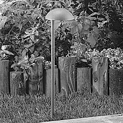 20W Par36 Halogen Lamp