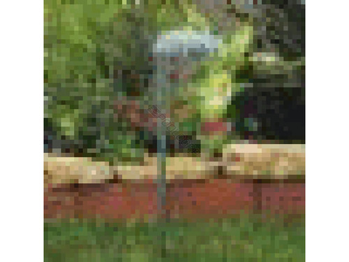 T3 Black Small Seashell Light