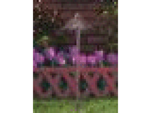 T3 Rust Petals And Leaves Light