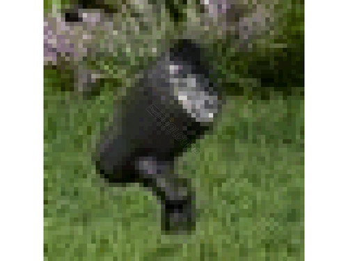Ground Led Med Shroud Blk Ground Led Med Shroud Blk