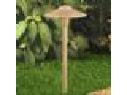 7.5" Dark Brz Round Path Light