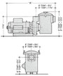 Aqua-Flo AC-Series Bronze Pump