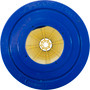 Pleatco Cartridge Filter for Hayward Star-Clear C100 # PCM100SV