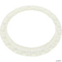 Pentair E-Z Vac Bearing Washer