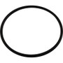 Pentair Pump O-ring Pot Flange