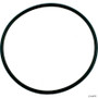 Pentair Dynamo Lid O-ring # 354533