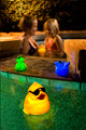 Floating LED Light up Pal (Sold Individually) Floating LED Light up Pal (Sold Individually)