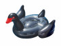 Giant Black Swan Inflatable Ride-On
