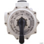 Multiport Valve, American Products/Pentair, 2" Thd, 6 Pos 1