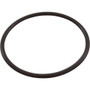 O-Ring, Rainbow Chlorinator Lid, Viton (Individual) O-Ring, Rainbow Chlorinator Lid, Viton (Individual)
