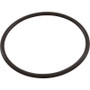 O-Ring, Rainbow Chlorinator Lid, Viton (Individual) O-Ring, Rainbow Chlorinator Lid, Viton (Individual)