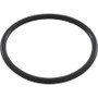 O-Ring, Pentair Tagleus Adapter