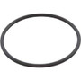Sta-Rite System:3 O-Ring