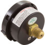 Pressure Gauge, Pentair, 1/4"mpt, 0-60psi, Back Mount