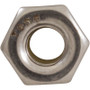 Lock Nut, Pentair American Products/PacFab Titan/FNS