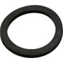 Gasket, Titan/Sandpiper, Bulkhead, 2-5/8"ID, 3-7/16"OD