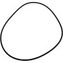 O-Ring, Zodiac Jandy C Series, Tank Body