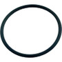 O-Ring, Pentair Return Line Check Valve