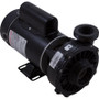 Pump, WW Hi-Flo, 1.0hp, 115v, 2-Spd, 48fr, 2"