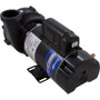 Pump, WW Ex2, 1.5SPL, 115v, 2-Spd, 48fr, 2", OEM