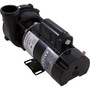 Pump, WW Exec, 1.5SPL, 115v, 2-Spd, 48fr, 2", OEM