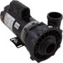 Pump, WW Exec, 1.5SPL, 115v, 2-Spd, 48fr, 2", OEM