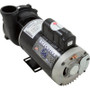 Pump,WW Exec,4.0hp,230v,2-Spd,56fr,2",OEM