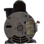 Pump, WW Hi-Flo, 1.5SPL, 115v, 2-Spd, 48fr, 2", OEM