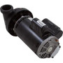 Pump, BWG, 2-Spd, 2.5hp, 230v, 60Hz, OEM