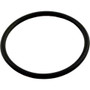 Pentair Sta-Rite Pump Union O-Ring
