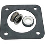 Seal Kit, Pentair Sta-Rite DuraGlas