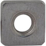 Nut, Pentair PacFab Dynamo, Seal Plate