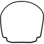 Gasket, Zodiac Jandy JHP/JHPU, Seal Plate, Special