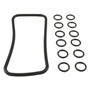 O-Ring, Pentair MasterTemp/Max-E-Therm, Manifold