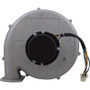 Blower Kit, Pentair MasterTemp 175/200/Max-E-Therm 200, Nat.