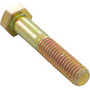 Bolt, Pentair Minimax/Minimax Plus/PowerMax, 3/8"-16 x 2"