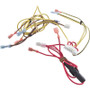 Wire Harness, Zodiac Jandy Lxi, Control