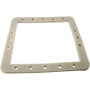 Gasket, Pentair HydroSkim Skimmer, Faceplate