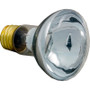 Bulb, Pentair American Products, 12v, 100w