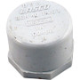 Cap, Lasco, 1-1/4" Female Pipe Thread