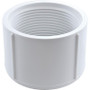 Cap, Lasco, 2-1/2" Female Pipe Thread