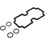 O-Ring Kit, Pentair MasterTemp 125, Coil/Tubesheet Sealing