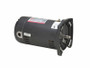 .33Hp 115/230V 48Y Sqfl Odp Motor