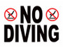 4" Letters International No Diving