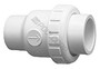 (.5# Spring) 2" Sxs Union Check Valve
